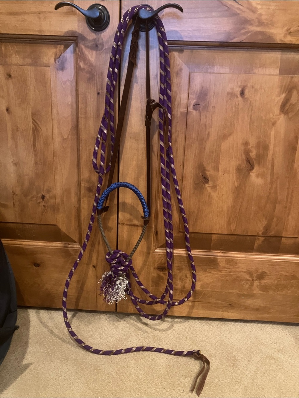 Blue and Purple Loping Hackamore
